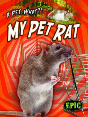 cover image of My Pet Rat